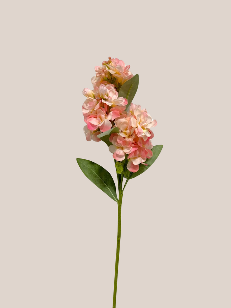 Flor