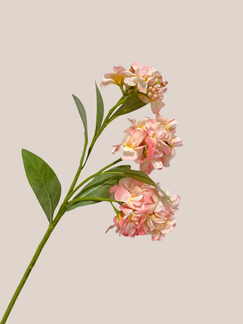 Flor