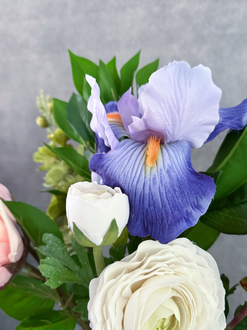 Iris L