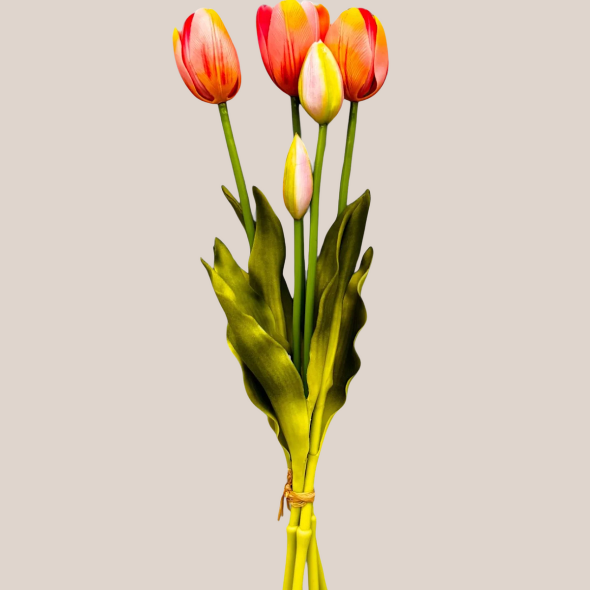 Tulipan Bundle