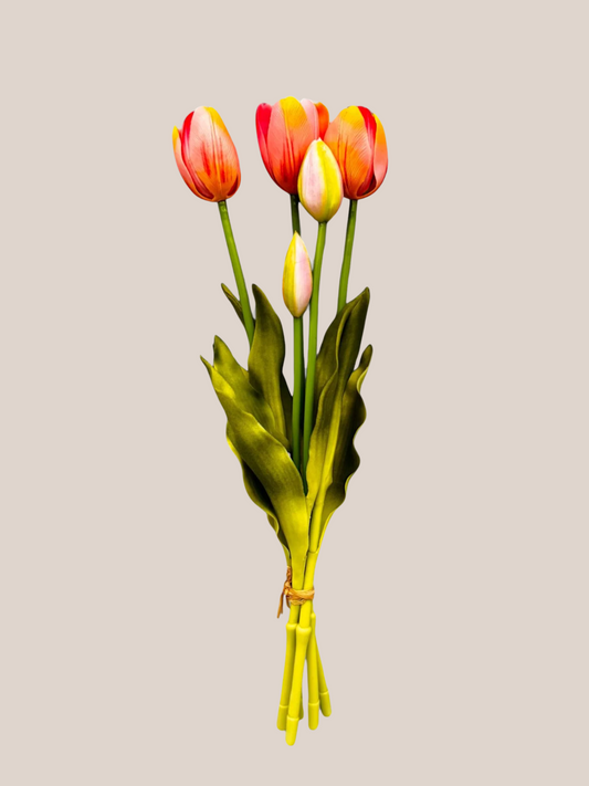 Tulipan Bundle