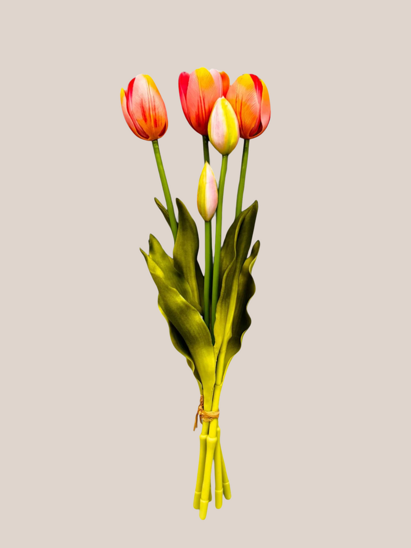 Tulipan Bundle