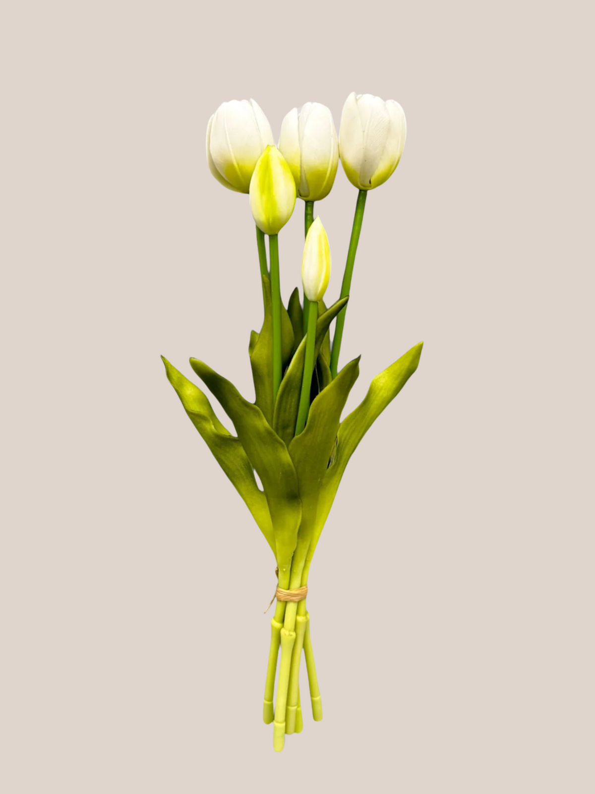 Tulipan Bundle