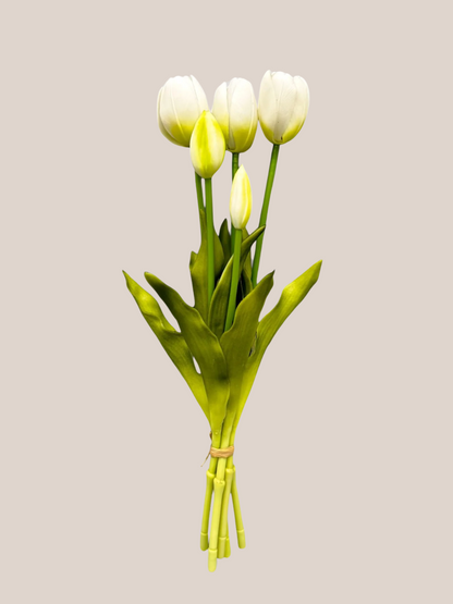 Tulipan Bundle