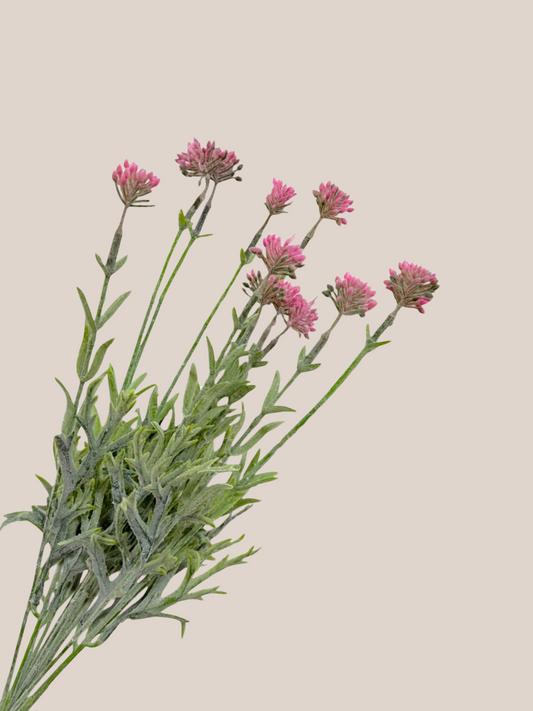 Grass Bush