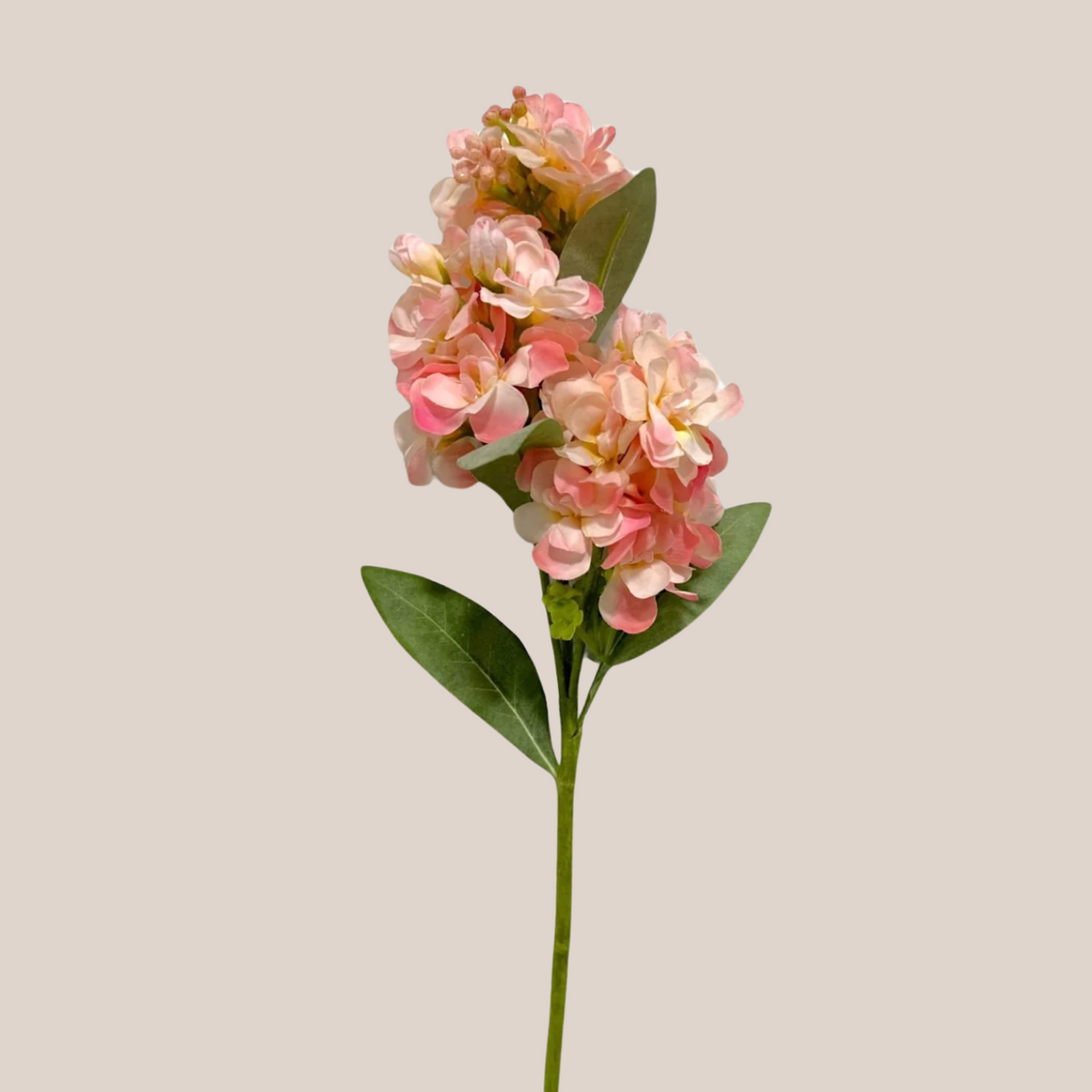 Flor