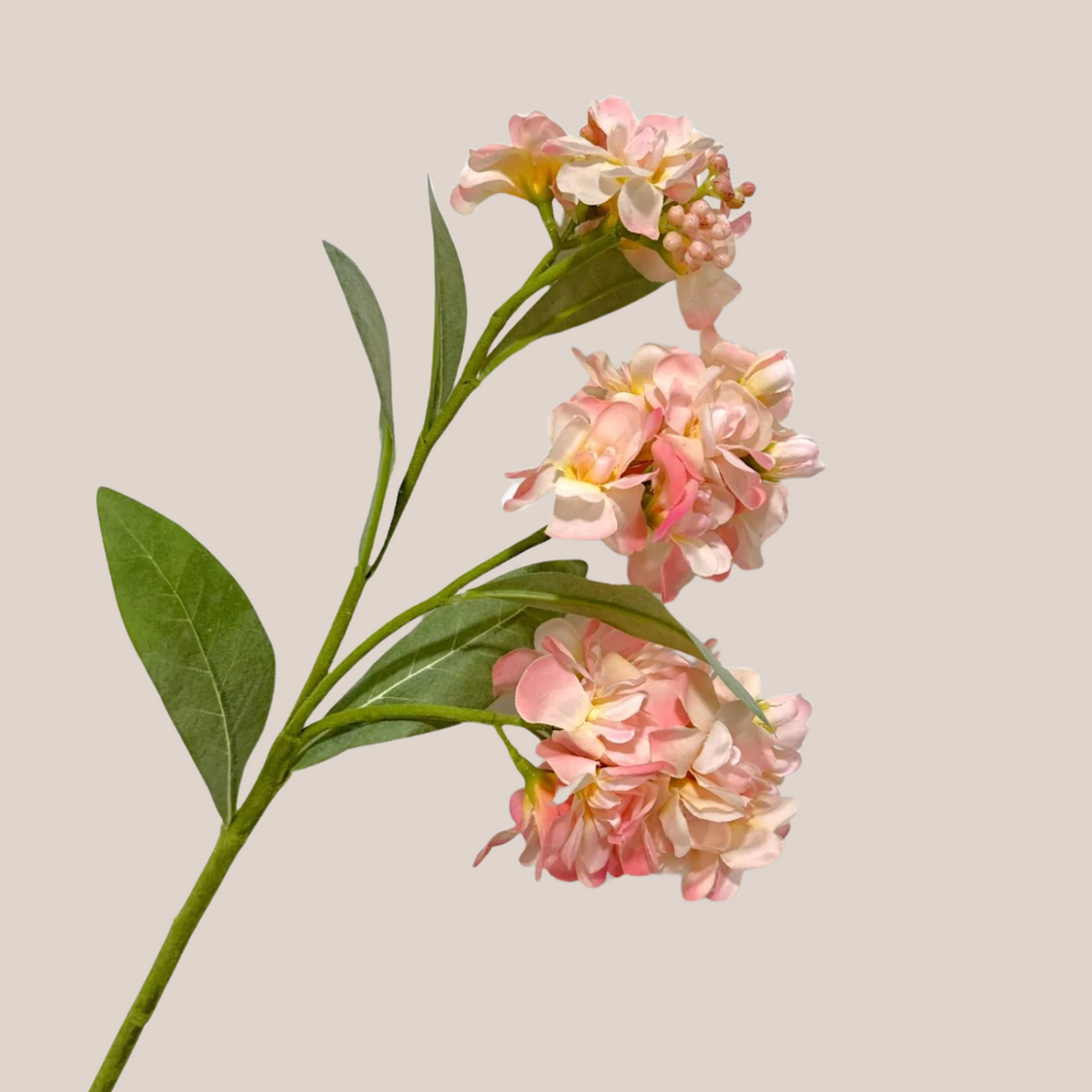Flor