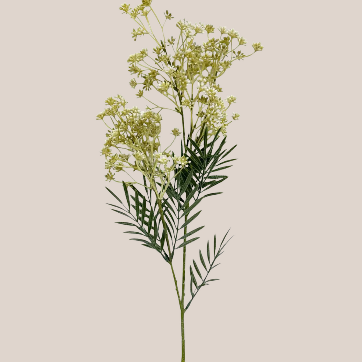 Flower Bud