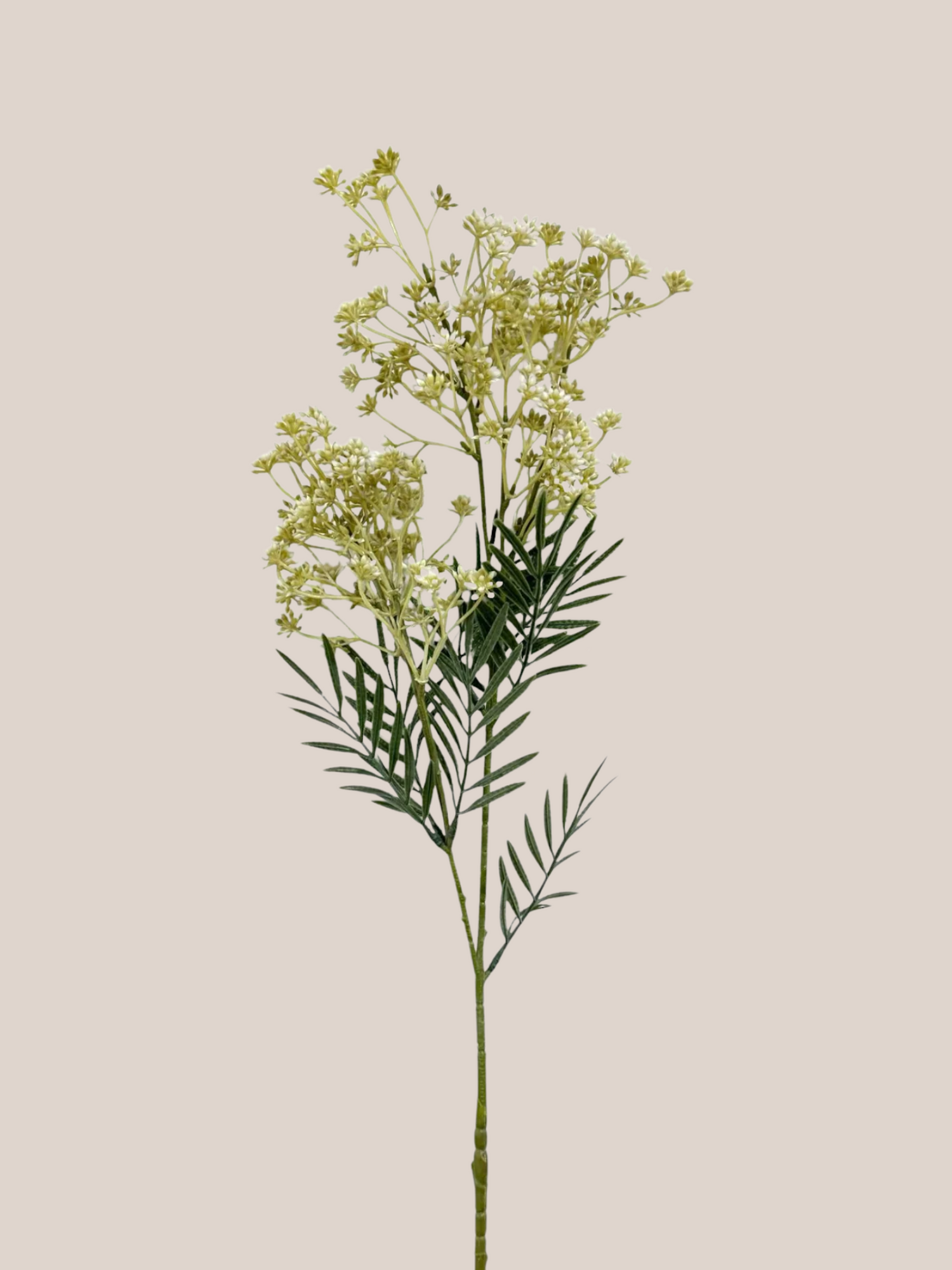 Flower Bud