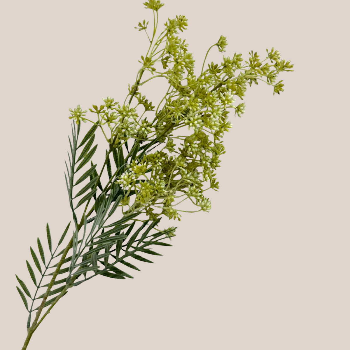 Flower Bud