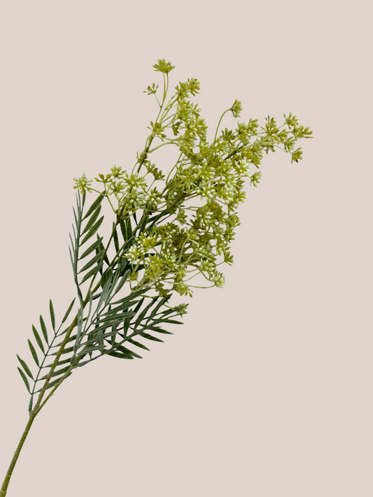 Flower Bud