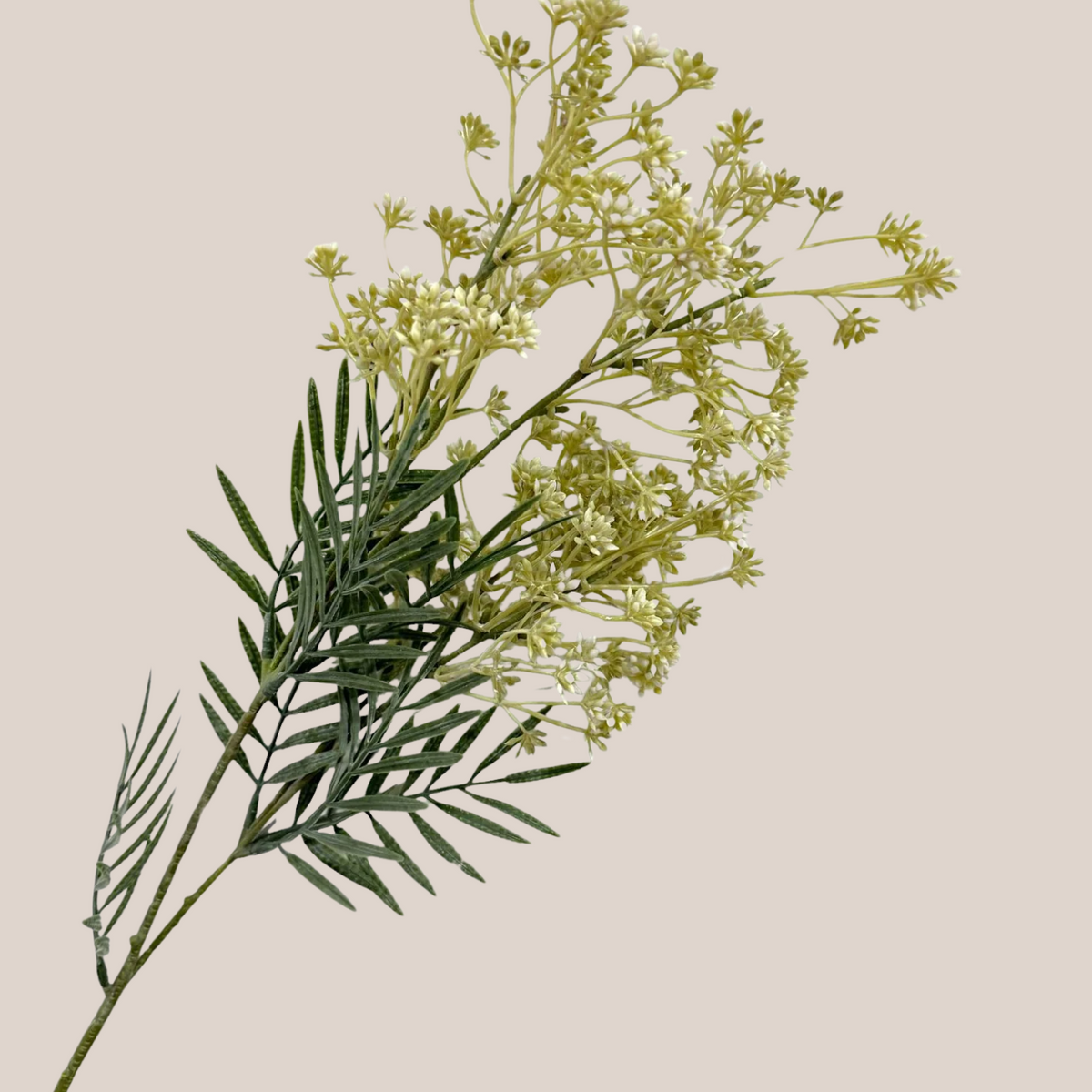 Flower Bud
