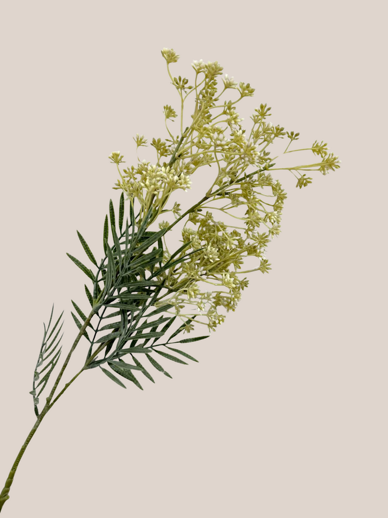 Flower Bud