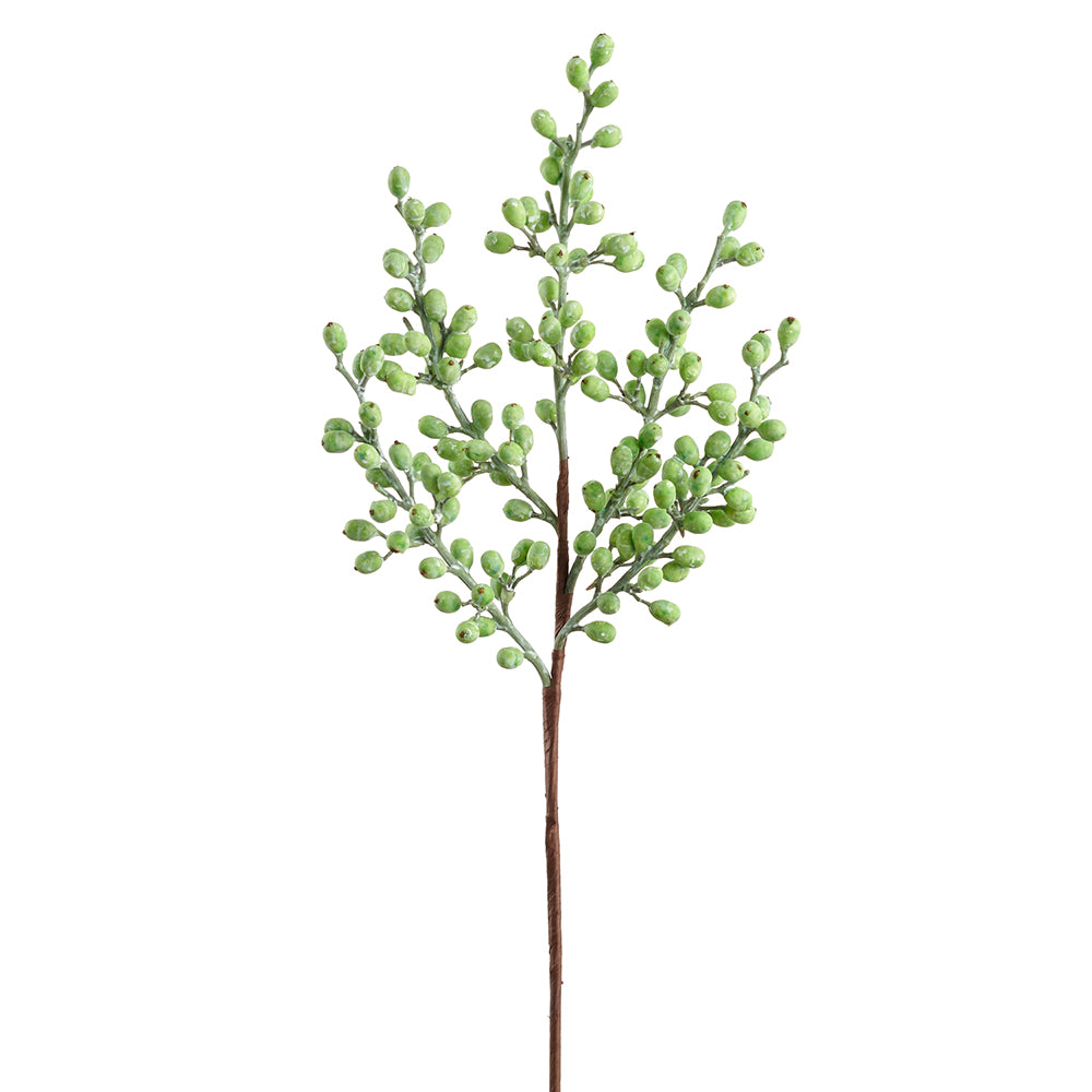 Berry Verde