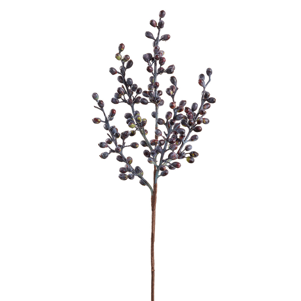 Berry Morado