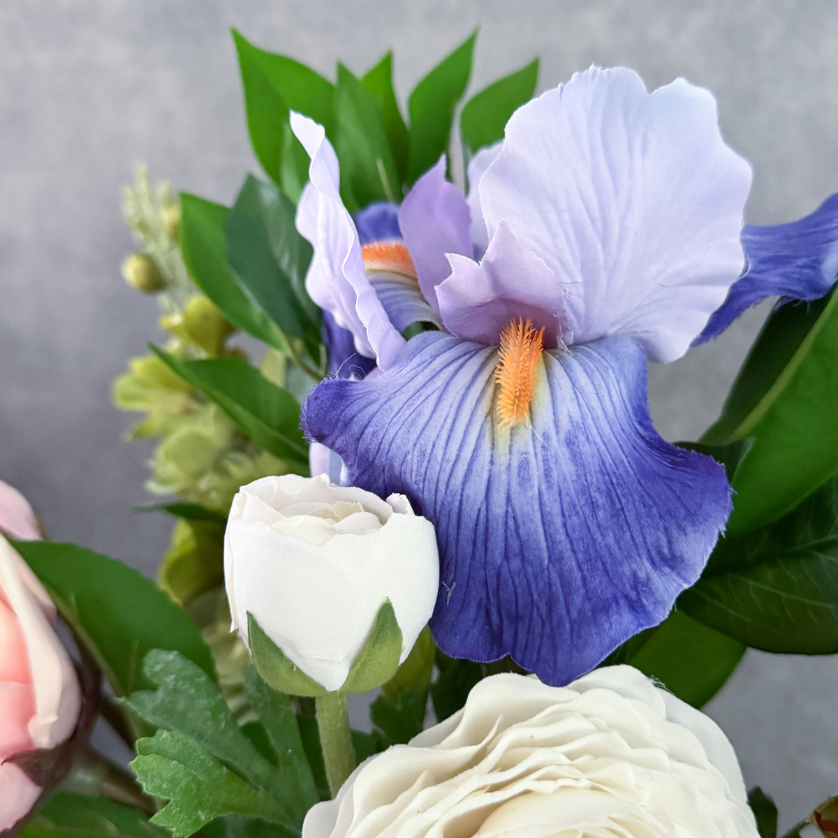 Iris L