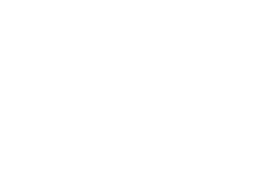 Lyra Estudio