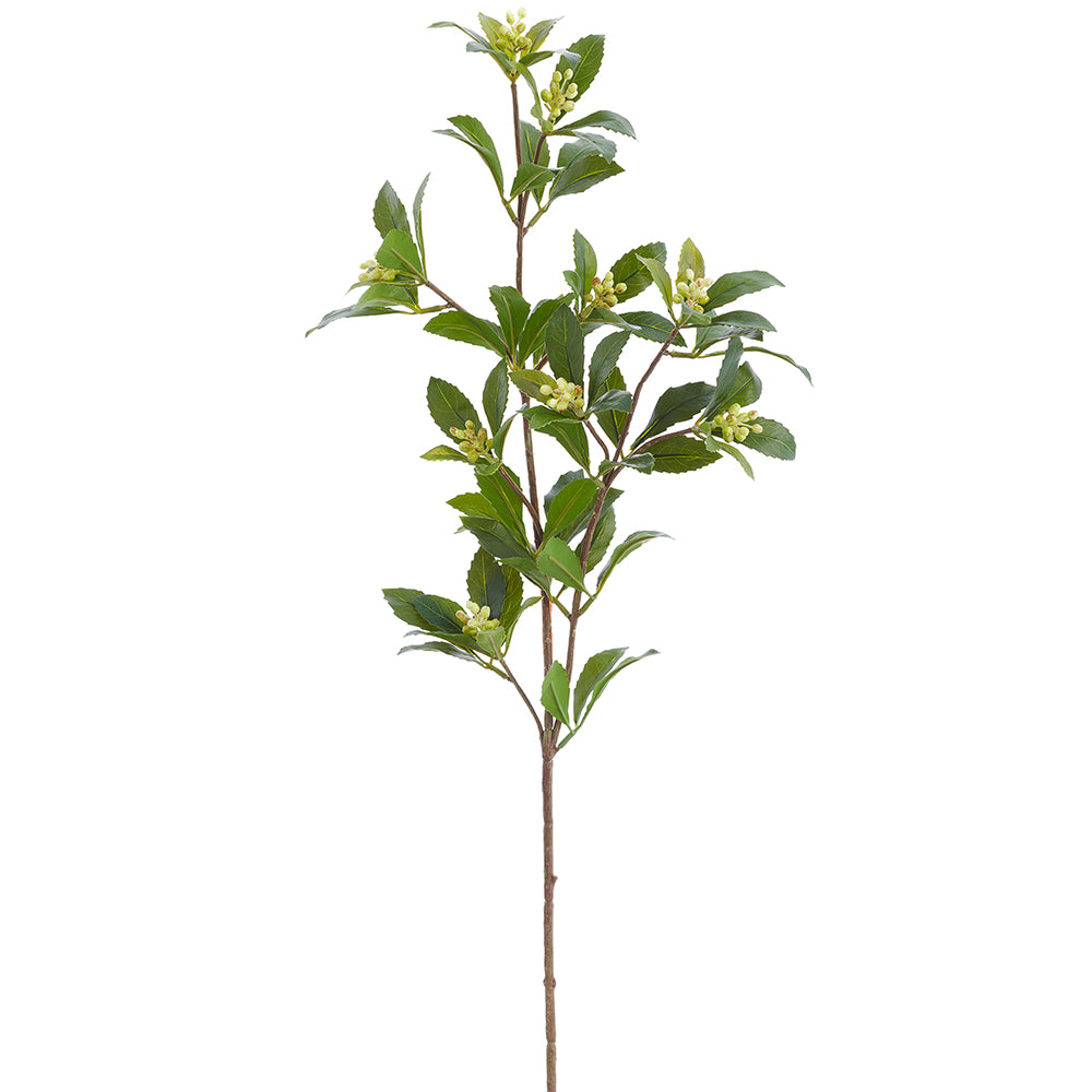 Vara Laurel con Berries