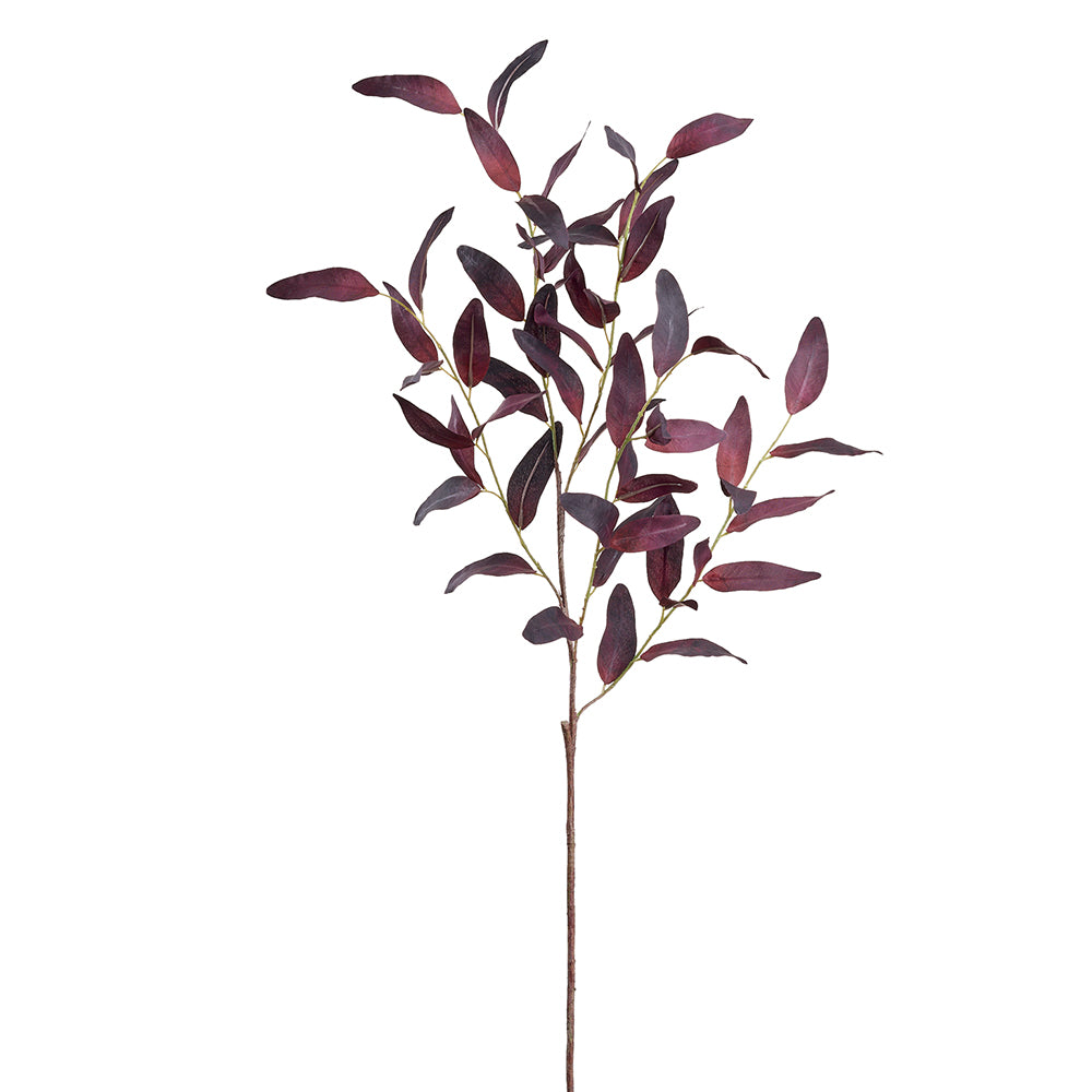 Vara Mangrove Burdeo